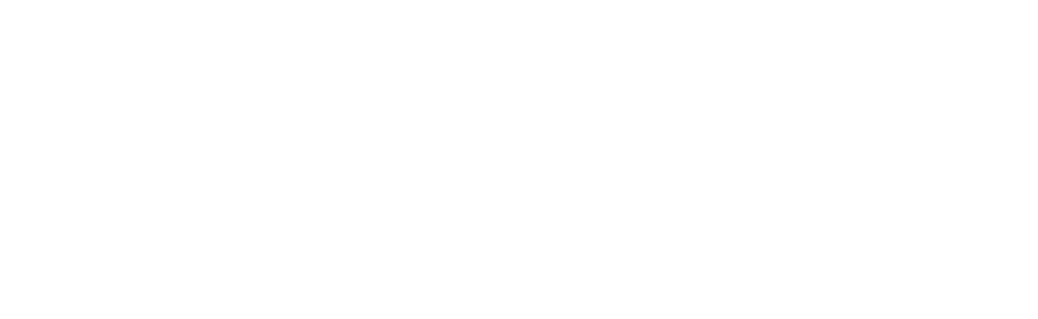 All Ball Pro®